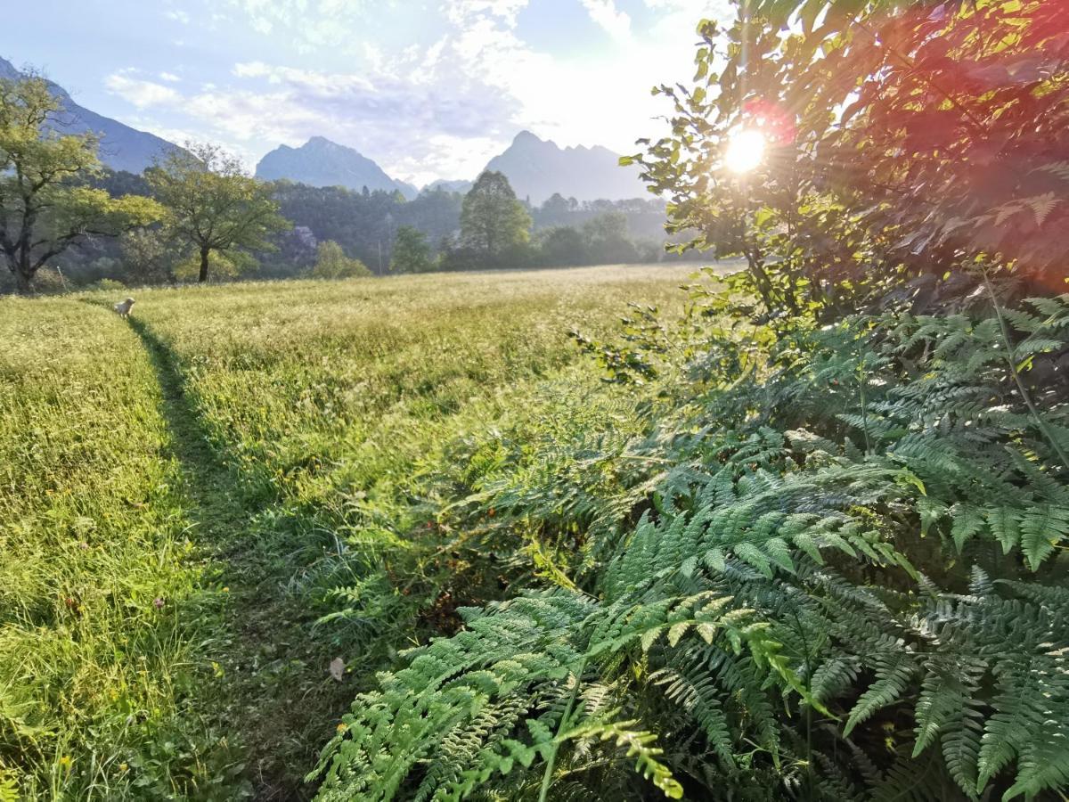 Apartma Miko Bovec Buitenkant foto
